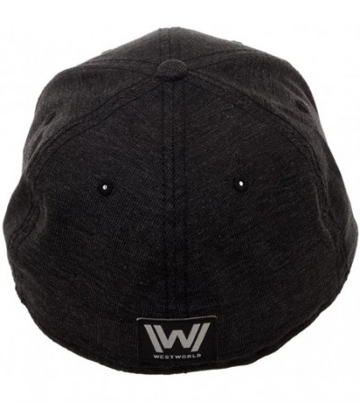Skullies & Beanies Westworld Delos Embroidered Logo Flex Cap-Black-OSFM - CK180QML27K