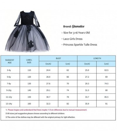Headbands Lace Girls Wedding Dress Embroidered Flower Princess Sparkle Tulle Birthday Party Dresses 2-14Y - CS19242I7LS